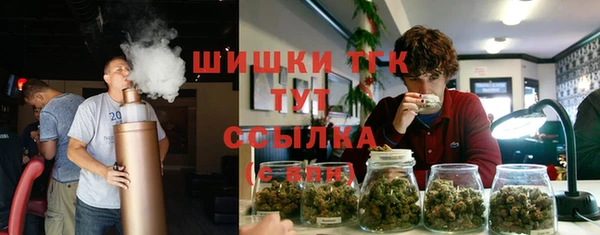 шишки Красноперекопск